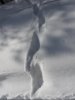 DSCN8621.JPG