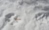 DSCN8622.JPG