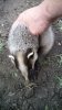 IMG-20160618-WA0001.jpg