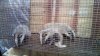 IMG-20160618-WA0018.jpg
