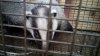 IMG-20160618-WA0013.jpg