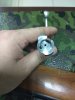 IMG_20180326_151625.jpg