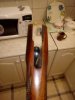IMG-20180329-WA0001.jpg