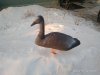 IMG_20180312_185717.jpg