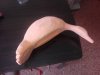 IMG_20180404_105746.jpg