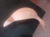 IMG_20180404_121628.jpg