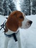 IMG-20180407-WA0004.jpg