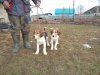 DSC02216.JPG