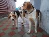 DSC02289.JPG