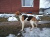 DSC02254.JPG
