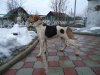 DSC02268.JPG