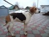 DSC02272.JPG