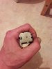 IMG-20180412-WA0014.jpg