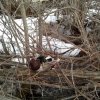 20180416_084932.jpg