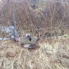20180416_111823.jpg