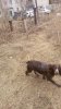 20180423_145913.jpg