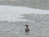 DSCF6050.JPG