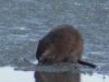 DSCF6049.JPG