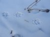 DSCN9056.JPG
