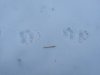 DSCN9048.JPG