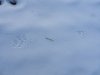 DSCN9054.JPG