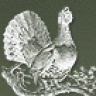 seregawrx