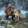 sarge