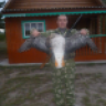Slava22