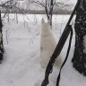 серрый