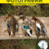 BIRD_watcher
