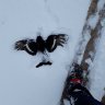 Морозов...Олег