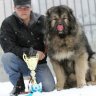 Кавказятник