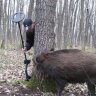 Копатель
