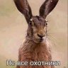 79529164726a