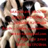 КупимБелку