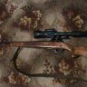 nikolay22151