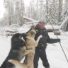 илим61