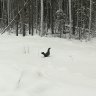 wertyu357zdt