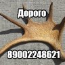 kolyan.kozlov32