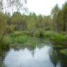Стрелок38
