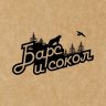 БарсиСокол