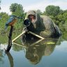 Photohunter