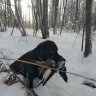Антонмц