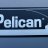 Pelican