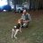 Buevich