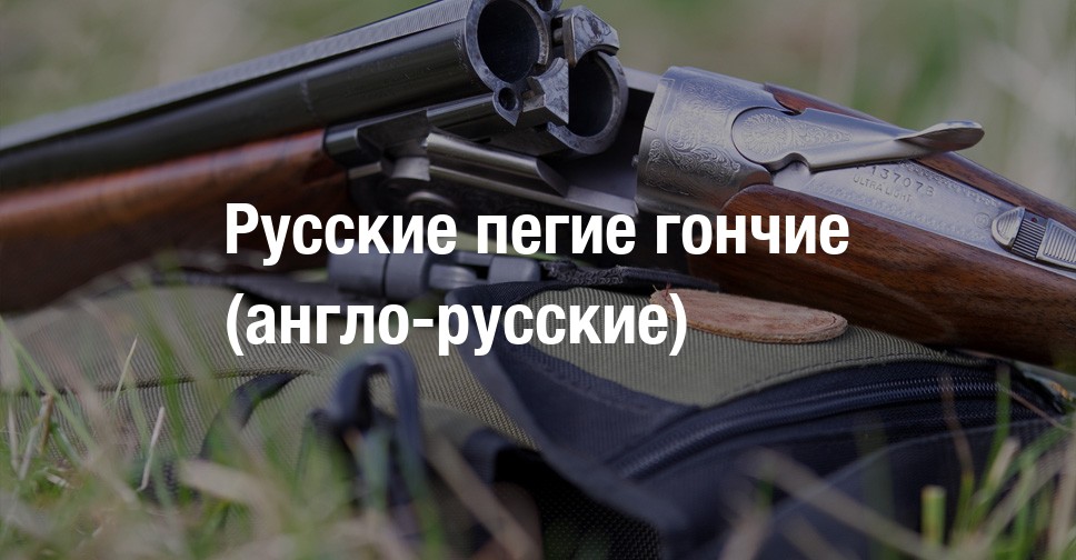 Иж охота интернет магазин