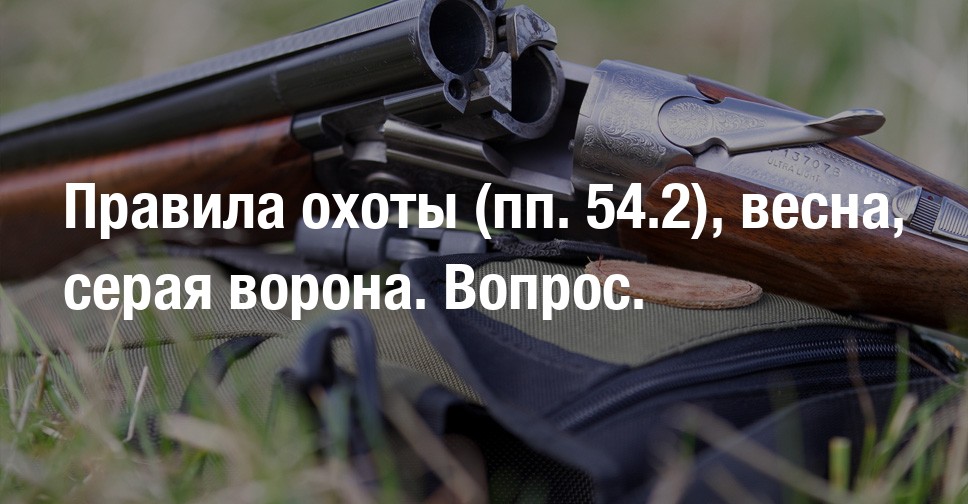Охота на серую ворону правила охоты. Охота на серую ворону правила охоты. Охота на серую ворону правила охоты. Охота с пневматикой хатсан 125. 5 на дичь.