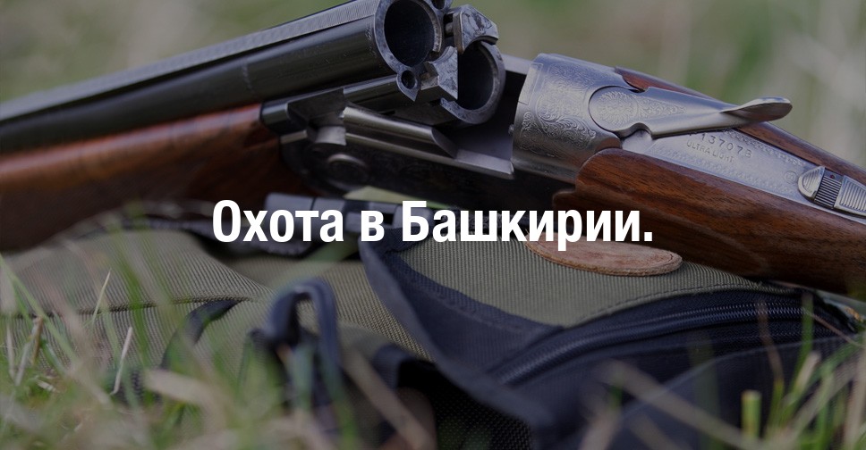охота на утку в башкирии