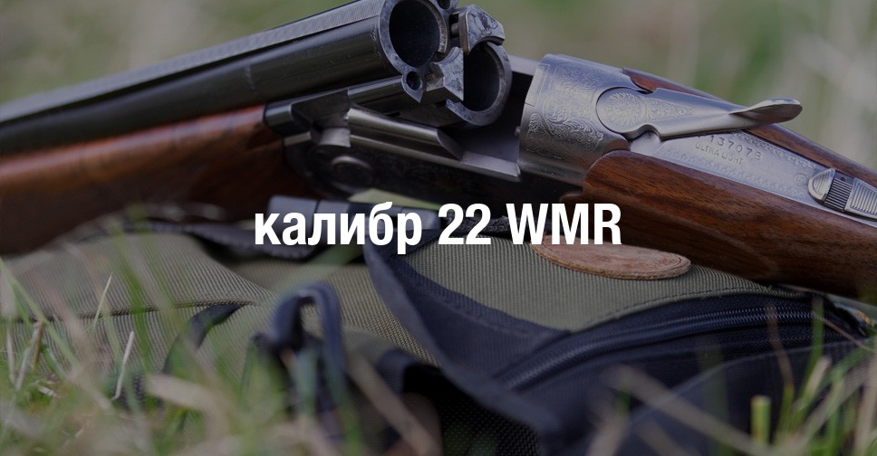 Иж 22 калибр