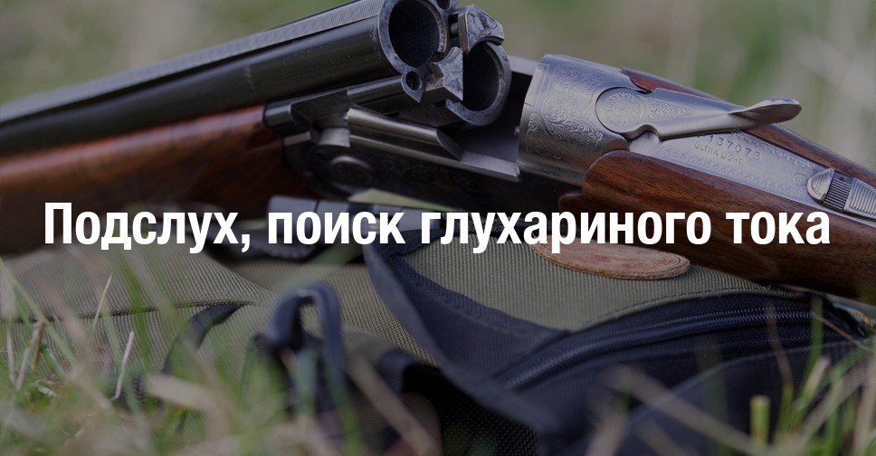 хатсан охота на глухаря